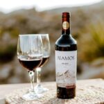 Alamos Malbec - tudo o que você precisa saber