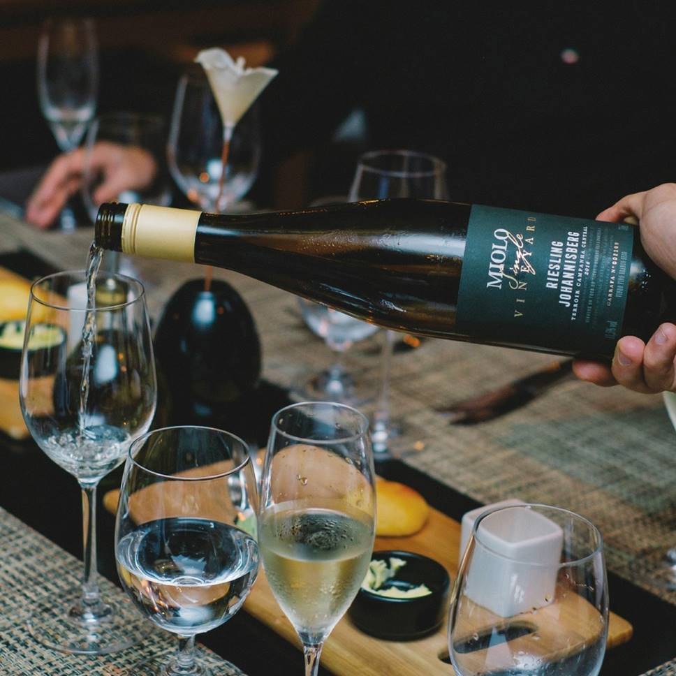 Vinhos da Serra Gaúcha - Vinho Miolo Single Vineyard Riesling Johannisberg