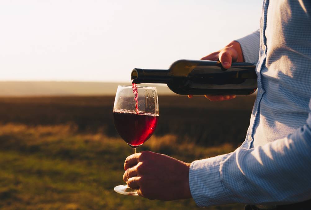 Vinhos da Serra Gaúcha que Você precisa Provar