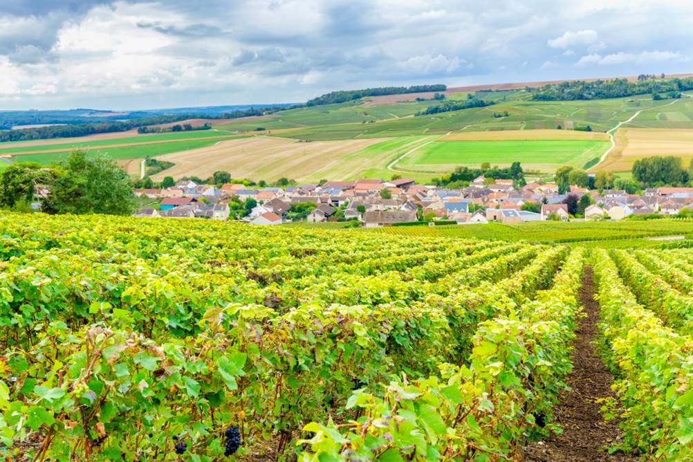 Quando visitar a região de Champagne