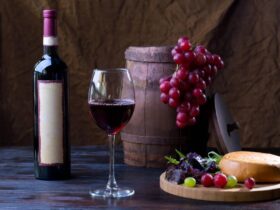 TOP 10 Vinhos Malbec Brasileiro que Você precisa degustar