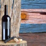 Vinhos da Argentina - sabores que encantam o Mundo