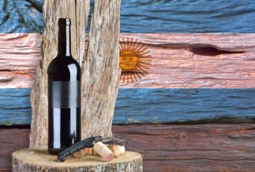 Vinhos da Argentina - sabores que encantam o Mundo