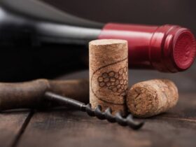 Qual a real importância da rolha para o vinho
