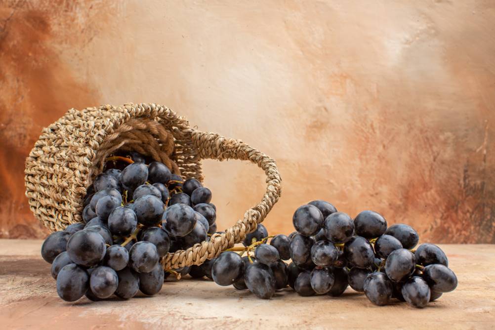 Caracteristicas da Uva Pinot Noir