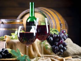 Vinhos de Bordeaux do dia a dia a celebrações especiais!