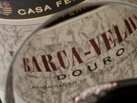 Vinho Barca Velha: preço, história, tipos, como harmonizar?